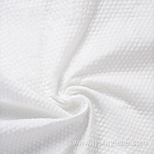 100%Viscose Biodegradable Spunlace nonwoven big dot